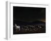 An Evening in Kenya-Piet Flour-Framed Photographic Print