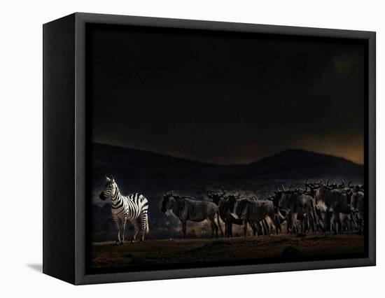 An Evening in Kenya-Piet Flour-Framed Stretched Canvas