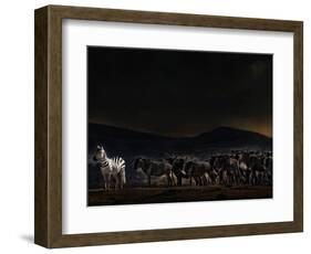 An Evening in Kenya-Piet Flour-Framed Photographic Print