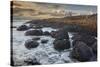 An evening view of the Giant's Causeway, UNESCO World Heritage Site, County Antrim, Ulster, Norther-Nigel Hicks-Stretched Canvas