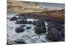 An evening view of the Giant's Causeway, UNESCO World Heritage Site, County Antrim, Ulster, Norther-Nigel Hicks-Mounted Photographic Print