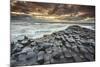 An evening view of the Giant's Causeway, UNESCO World Heritage Site, County Antrim, Ulster, Norther-Nigel Hicks-Mounted Photographic Print