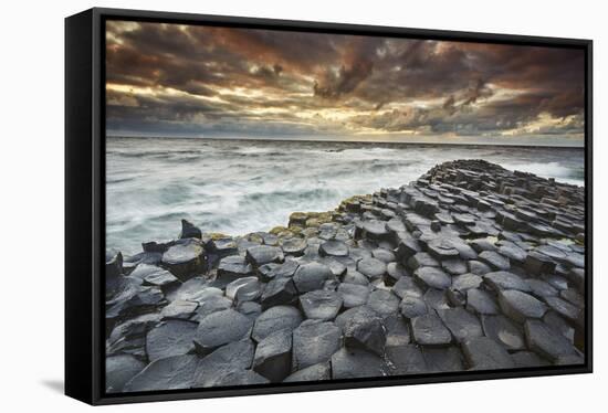 An evening view of the Giant's Causeway, UNESCO World Heritage Site, County Antrim, Ulster, Norther-Nigel Hicks-Framed Stretched Canvas