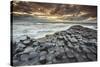 An evening view of the Giant's Causeway, UNESCO World Heritage Site, County Antrim, Ulster, Norther-Nigel Hicks-Stretched Canvas