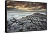 An evening view of the Giant's Causeway, UNESCO World Heritage Site, County Antrim, Ulster, Norther-Nigel Hicks-Framed Stretched Canvas