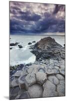 An evening view of the Giant's Causeway, UNESCO World Heritage Site, County Antrim, Ulster, Norther-Nigel Hicks-Mounted Photographic Print