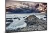 An evening view of the Giant's Causeway, UNESCO World Heritage Site, County Antrim, Ulster, Norther-Nigel Hicks-Mounted Photographic Print