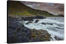 An evening view of the Giant's Causeway, UNESCO World Heritage Site, County Antrim, Ulster, Norther-Nigel Hicks-Stretched Canvas