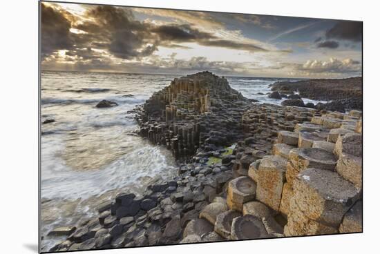 An evening view of the Giant's Causeway, UNESCO World Heritage Site, County Antrim, Ulster, Norther-Nigel Hicks-Mounted Photographic Print