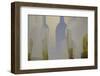 An Evening With Morandi II-Doug Chinnery-Framed Photographic Print