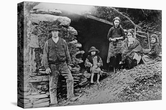 An Evicted Family at Glenbeigh, Ireland, 1888-Francis Guy-Stretched Canvas