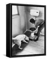 An Excited Army Sniffer Dog Sniffs under the Floorboards Near the Toilet-null-Framed Stretched Canvas