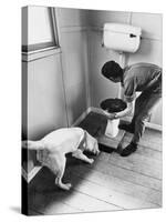 An Excited Army Sniffer Dog Sniffs under the Floorboards Near the Toilet-null-Stretched Canvas