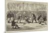 An Execution at Yokohama, Japan-null-Mounted Giclee Print