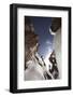 An Experienced Male Ice Climber Ice Climbing in the Box Canyon of Ouray, Colorado-D. Scott Clark-Framed Photographic Print