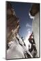 An Experienced Male Ice Climber Ice Climbing in the Box Canyon of Ouray, Colorado-D. Scott Clark-Mounted Photographic Print
