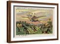 Brown Frame