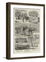 An Exploring Party in Australia-null-Framed Giclee Print