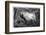 An Explosion of Firedamp in a Coal Mine-Felix Jean Gauchard-Framed Photographic Print