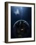 An Extraterrestrial Civilization Has Lit the Night Side of its Planet-Stocktrek Images-Framed Photographic Print