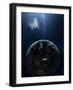 An Extraterrestrial Civilization Has Lit the Night Side of its Planet-Stocktrek Images-Framed Photographic Print