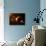 An Extraterrestrial Spacecraft Approaches a World That Lies Between Two Bright Suns-Stocktrek Images-Mounted Photographic Print displayed on a wall