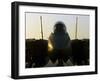 An F-14B Tomcat Sits On the Flight Deck Aboard Aircraft Carrier USS Harry S. Truman-Stocktrek Images-Framed Photographic Print