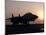 An F-14D Tomcat On the Flight Deck of USS Theodore Roosevelt-Stocktrek Images-Mounted Photographic Print