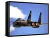 An F-15 Eagle in Flight-Stocktrek Images-Framed Stretched Canvas