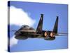 An F-15 Eagle in Flight-Stocktrek Images-Stretched Canvas