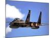 An F-15 Eagle in Flight-Stocktrek Images-Mounted Photographic Print