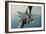 An F-15E Strike Eagle Receives Fuel from a Kc-135R Stratotanker-null-Framed Photographic Print