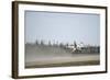 An F-16 Fighting Falcon Takes Off Eielson Air Force Base-null-Framed Photographic Print