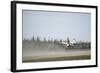 An F-16 Fighting Falcon Takes Off Eielson Air Force Base-null-Framed Photographic Print