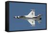 An F-16 of the U.S. Air Force Air Demonstration Squadron Thunderbirds-Stocktrek Images-Framed Stretched Canvas
