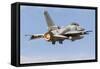 An F-16E Desert Falcon of the United Arab Emirates Air Force-null-Framed Stretched Canvas