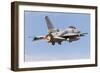 An F-16E Desert Falcon of the United Arab Emirates Air Force-null-Framed Photographic Print