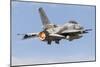 An F-16E Desert Falcon of the United Arab Emirates Air Force-null-Mounted Photographic Print