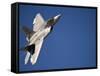 An F-22 Raptor Aircraft Performs During Aviation Nation 2010-Stocktrek Images-Framed Stretched Canvas