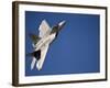 An F-22 Raptor Aircraft Performs During Aviation Nation 2010-Stocktrek Images-Framed Photographic Print