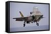 An F-35 Lightning Ii Prepares for Landing-null-Framed Stretched Canvas