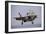 An F-35 Lightning Ii Prepares for Landing-null-Framed Photographic Print