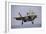 An F-35 Lightning Ii Prepares for Landing-null-Framed Photographic Print