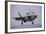 An F-35 Lightning Ii Prepares for Landing-null-Framed Photographic Print