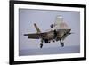 An F-35 Lightning Ii Prepares for Landing-null-Framed Photographic Print