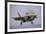 An F-35 Lightning Ii Prepares for Landing-null-Framed Photographic Print