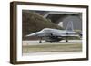 An F-5 Tiger Aircraft of the Swiss Air Force-Stocktrek Images-Framed Photographic Print