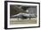 An F-5 Tiger Aircraft of the Swiss Air Force-Stocktrek Images-Framed Photographic Print