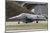 An F-5 Tiger Aircraft of the Swiss Air Force-Stocktrek Images-Mounted Photographic Print