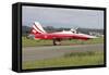 An F-5E Tiger Ii Aircraft of the Patrouille Suisse Aerobatic Team-null-Framed Stretched Canvas